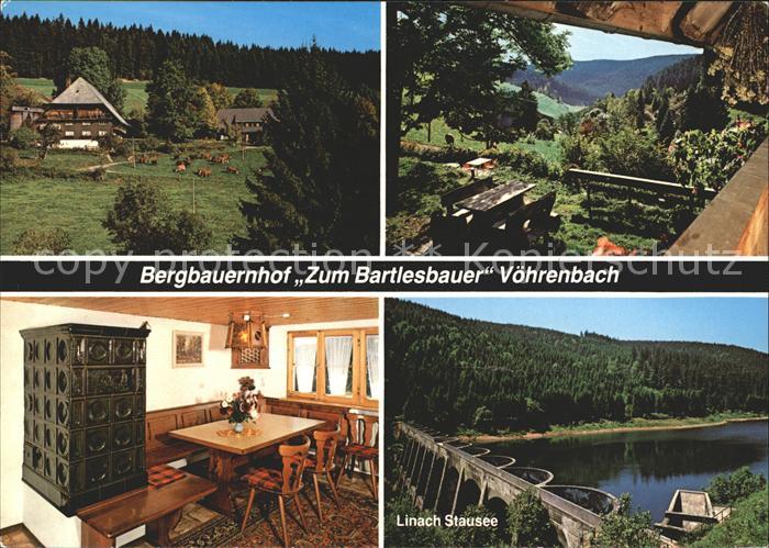 Voehrenbach Bergbauernhof Zum Bartlesbauer Linach Stausee