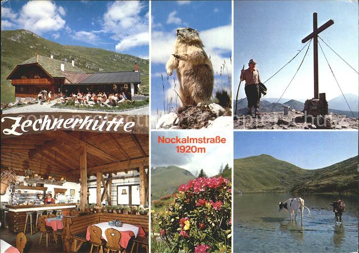 Innerkrems Krems Kaernten Zechnerhuette Gasthaus Nockalmstrasse Murmeltier