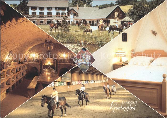 Kronberg Oesterreich Landgut Kronberghof Reiten