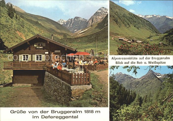 Defereggental Tirol Bruggeralm Alpenrosenbluete Rot Weissspitze
