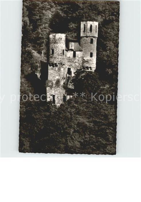 Neckarsteinach Burg Schwalbennest