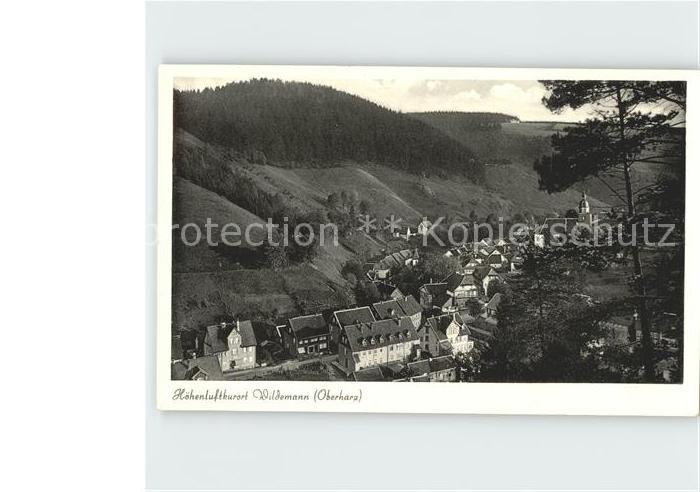 Wildemann Harz Goslar Niedersachsen Ortsblick