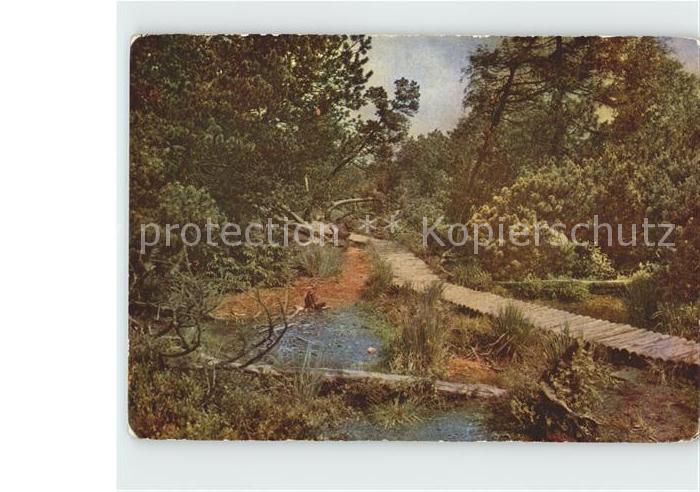 Georgenfeld Naturschutzgebiet Georgenfelder Hochmoor