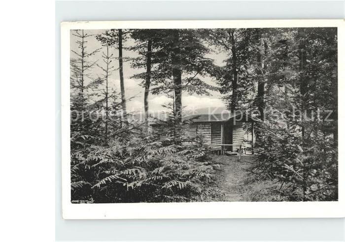 Lueneburger Heide Jagdhuette im Forst Buchwedel