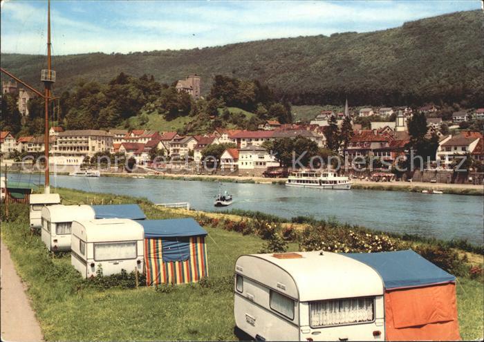 Neckarsteinach Neckarufer