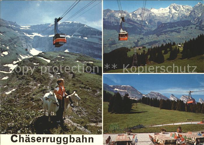 Seilbahn Chaeserrugg Unterwasser Churfirsten Alpstein Sennbub Ziegen