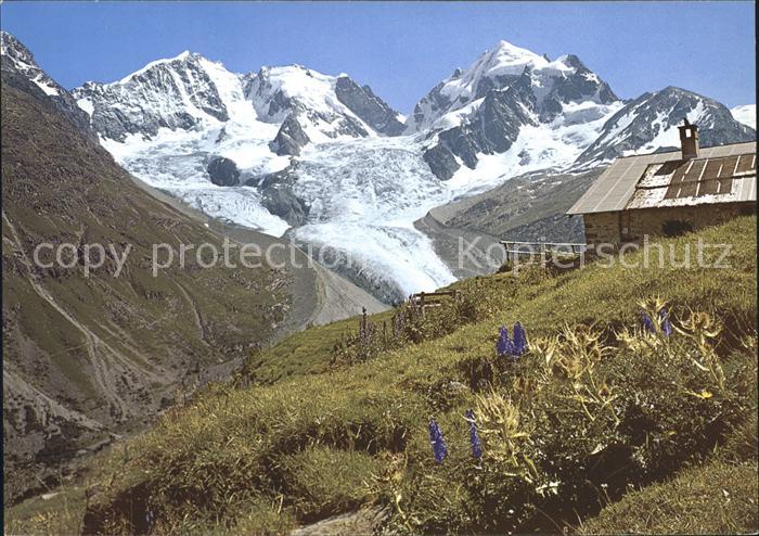 Gletscher Alp Ota Piz Bernina Piz Roseg