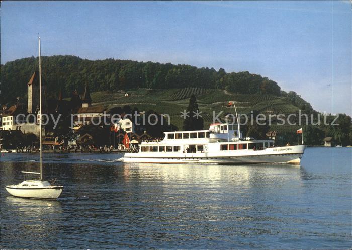 Motorschiffe MS Niederhorn Thunersee Spiez