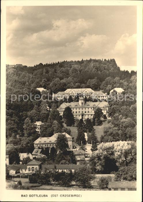 Bad Gottleuba-Berggiesshuebel