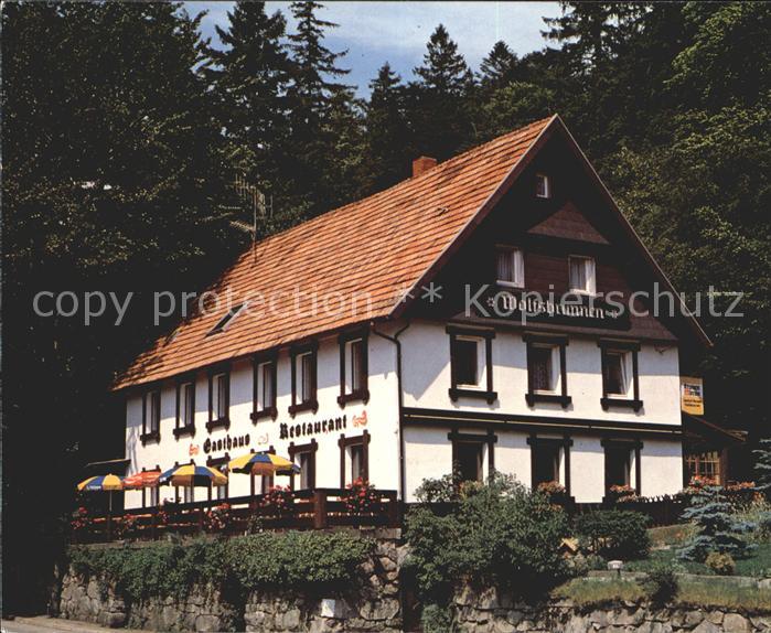 Seebach Ortenaukreis Gasthaus Pension Wolfsbrunnen