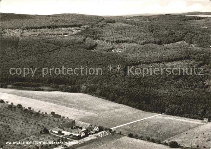 Ruedesheim Rhein Fliegeraufnahme Waldgasthof Ebental