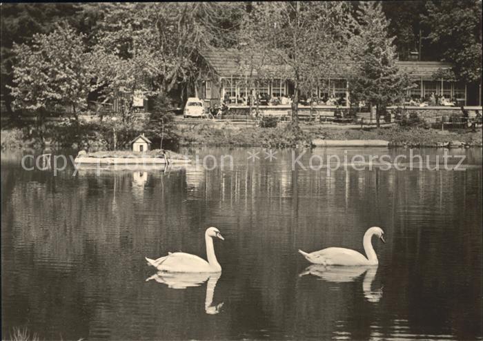 Frauenwald Thueringen Cafe Lenkgrund See Schwaene