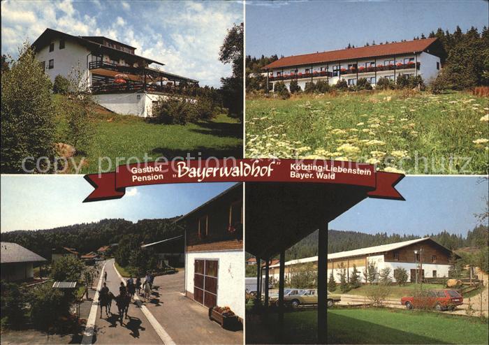 Liebenstein Bad Koetzting Gasthaus Pension Bayernwaldhof