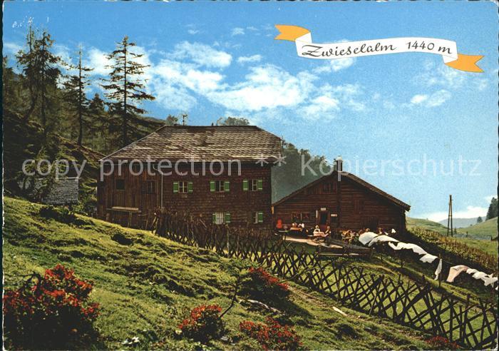 Zwiesel Niederbayern Zwieselalm Gosauschmied