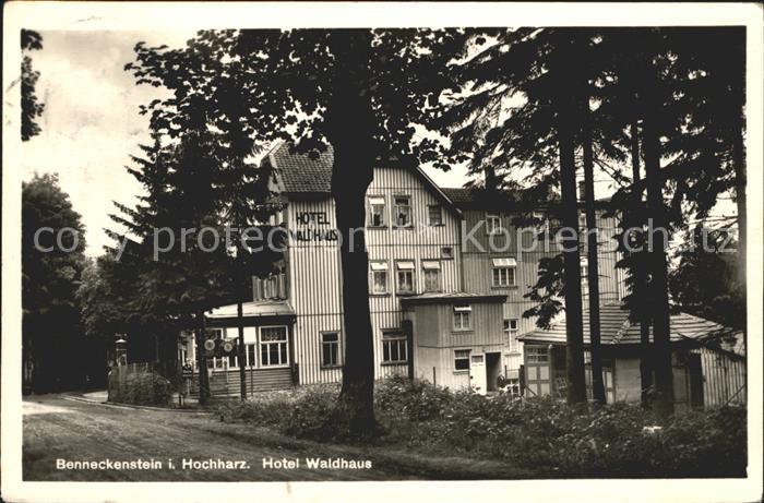 Benneckenstein Hotel Waldhaus