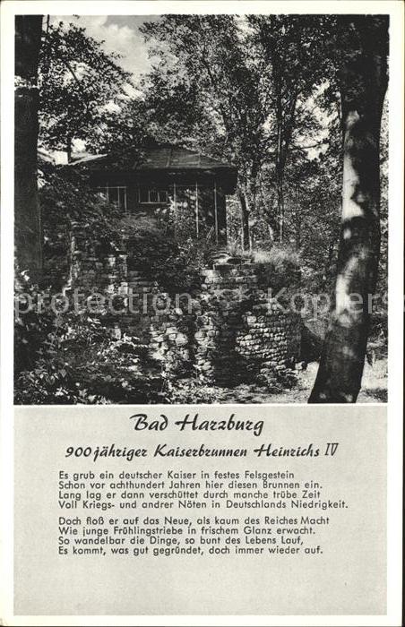 Bad Harzburg 900jaehriger Kaiserbrunnen Heinrichs IV