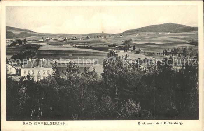 Bad Oppelsdorf Opolno Zdroj Blick zum Gickelsberg