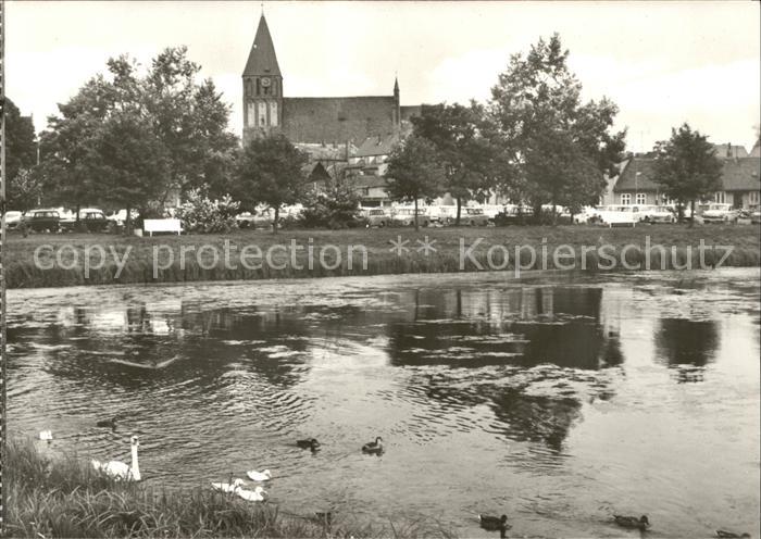 Grimmen Im Park Schwanenteich