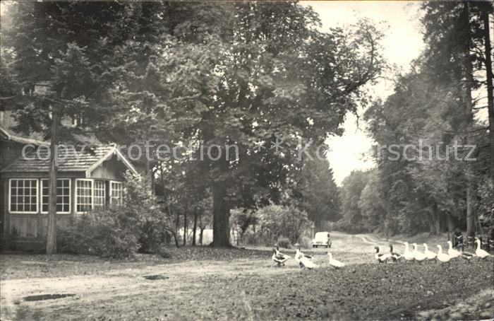 Neuruppin Forsthaus Tornow