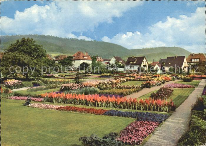 Deckbergen Essmannshof Tulpenfelder