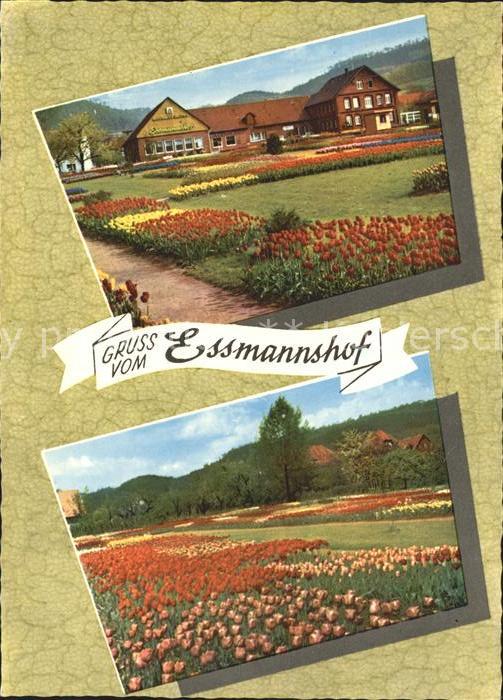 Deckbergen Essmannshof Tulpenschau