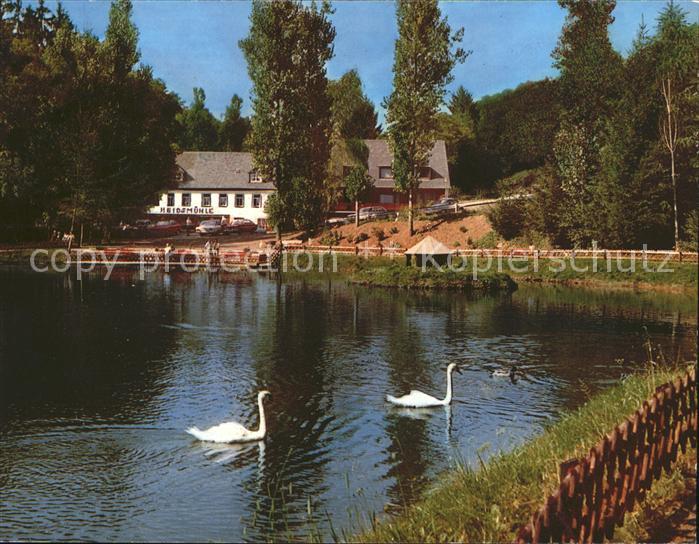 Manderscheid Eifel Cafe Restaurant Hotel Heidsmuehle Schwanenteich