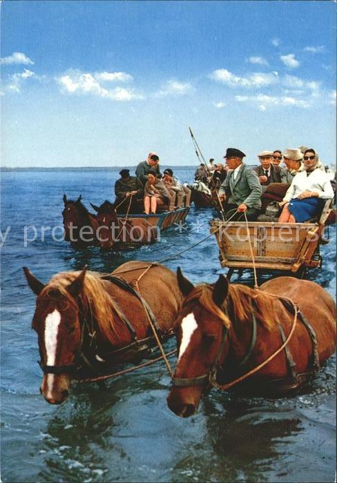 Halligen Nordsee Wattwagen bei aufkommender Flut