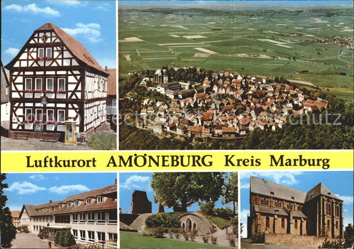 Amoeneburg Fachwerkhaus Totalansicht Schloss Ruine