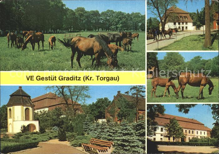 Graditz Pferdegestuet