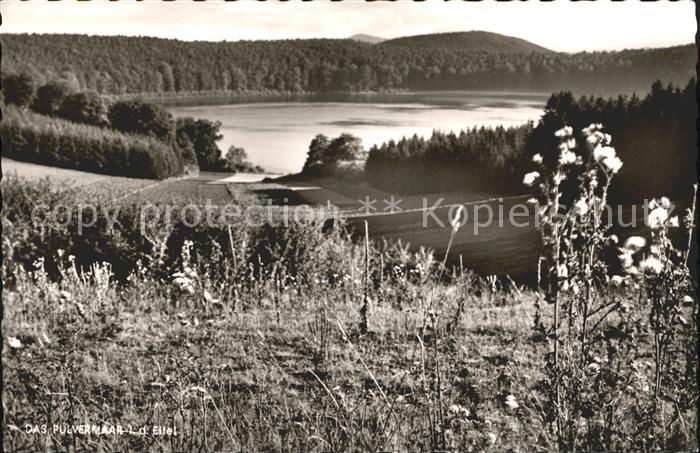 Gillenfeld Pulvermaar