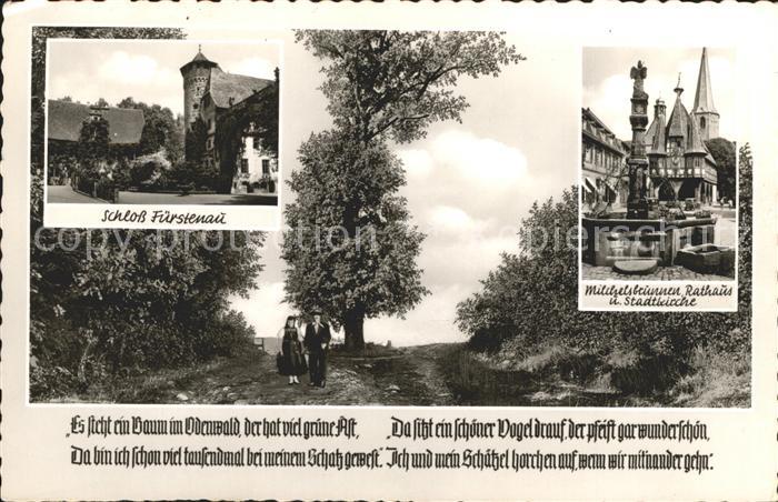 Fuerstenau Odenwald Schloss Milchelsbrunnen Rathaus Stadtkirche