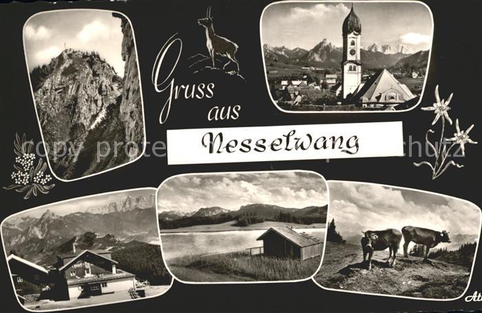 Nesselwang Allgaeu Bayern Kirche Kuehe See Sportheim Boeck