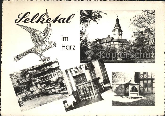 Falkenstein Harz Selketal HO Gasstaette Zum Falken