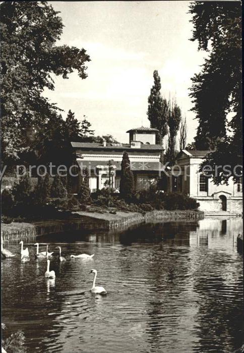 Potsdam Sanssouci Roemische Baeder Schwaene
