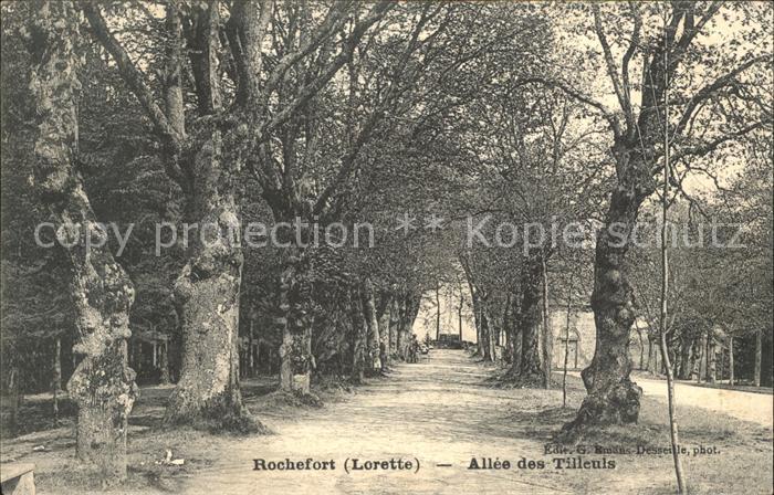 Rochefort Namur Wallonie Allee des Tilleuls