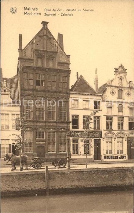 Malines Mechelen Flandre Zoutwerf Zalmhuis