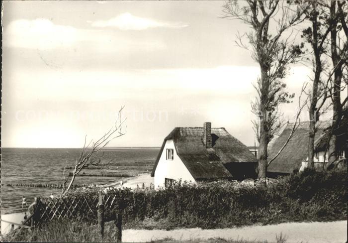 Ahrenshoop Ostseebad Am Steilufer