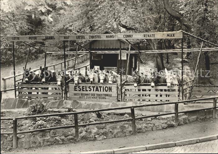 Eisenach Thueringen Eselstation