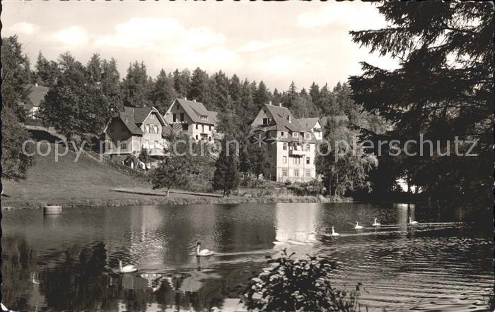 Koenigsfeld Schwarzwald Partie am Saegewerk Schwanenteich
