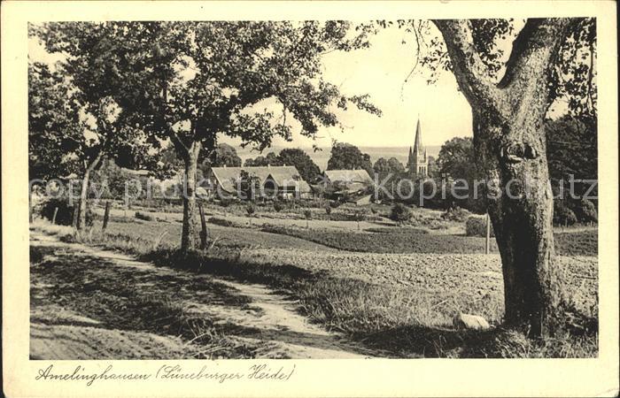 Amelinghausen Lueneburger Heide Panorama Lueneburger Heide