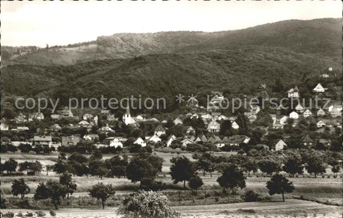 Alsbach Bergstrasse Totalansicht