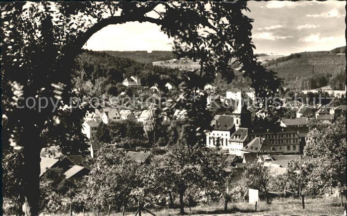 Bad Koenig Ortsblick