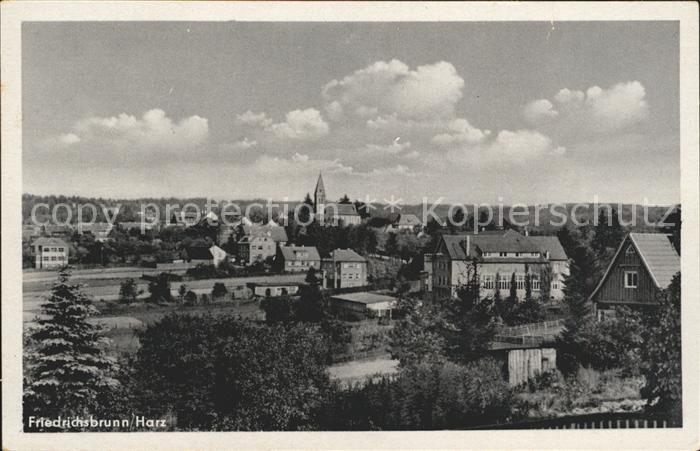 Friedrichsbrunn Harz Panorama