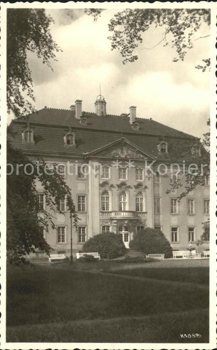 Brandis Wurzen Finanzschule