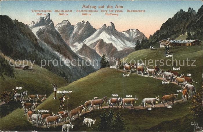 Oberstdorf Almaufzug mit Alpenpanorama