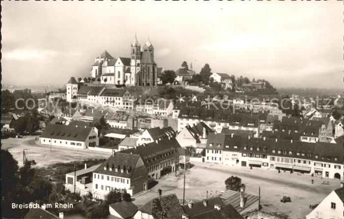 Breisach Rhein Totalansicht mit Muenster
