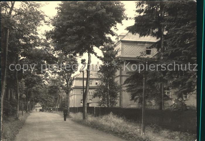 Reitzenhain Erzgebirge Strassenpartie