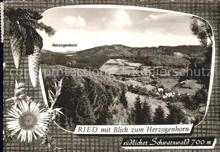 Ried Tegernau Panorama mit Herzogenhorn