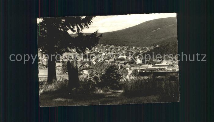 Braunlage Harz Adamsblick