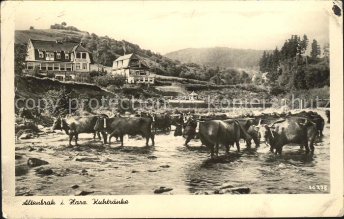 Altenbrak Harz Kuhtraenke